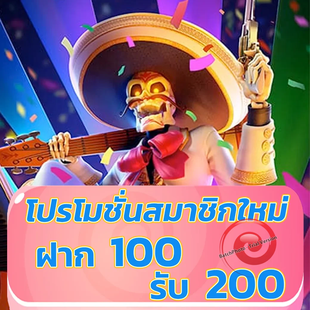 เว็บ g2gbm